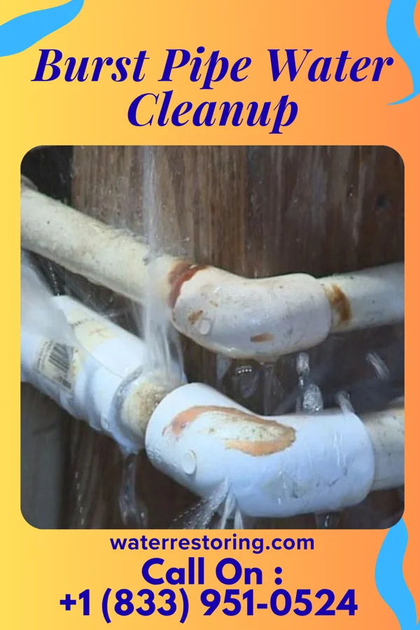 Burst Pipe Water Cleanup in Hockinson, WA