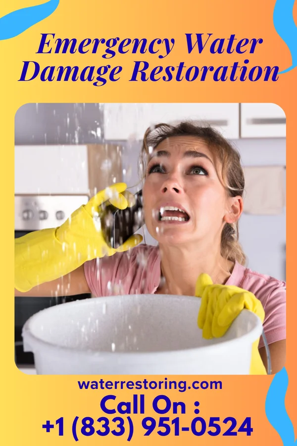 Emergency Water Damage Restoration in Hockinson, WA